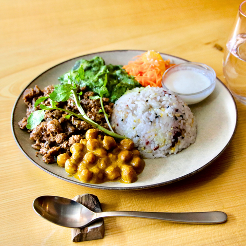 完全栄養食 WellBe Curry (冷凍)
