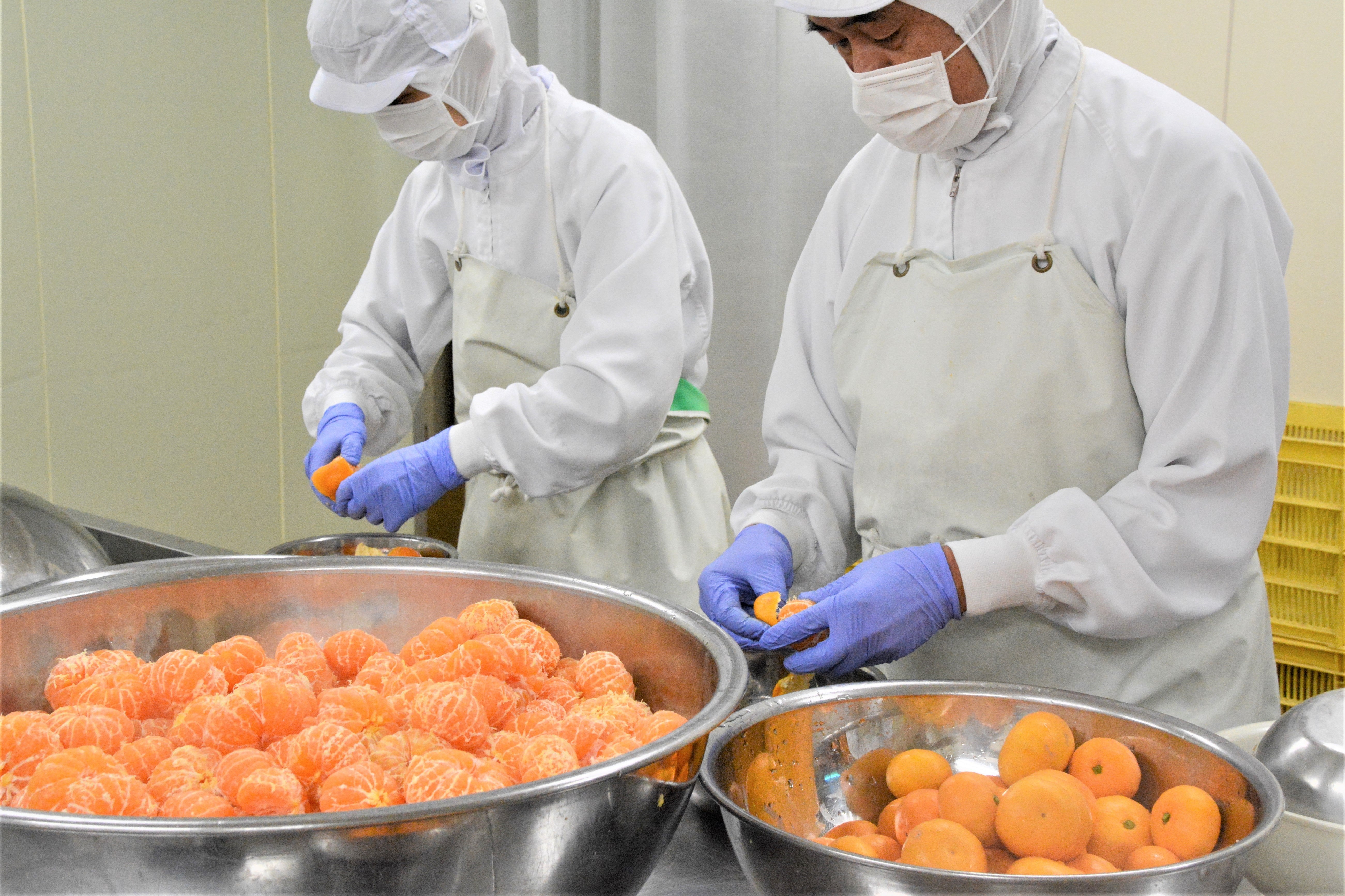 湘南とまと工房 無添加・無香料とまと・みかんジュース10本セット